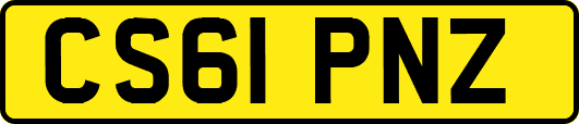 CS61PNZ