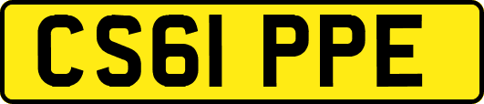 CS61PPE