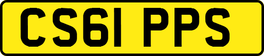 CS61PPS