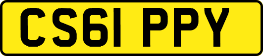 CS61PPY