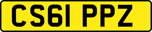 CS61PPZ