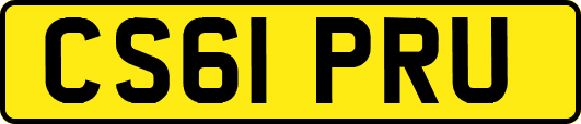 CS61PRU