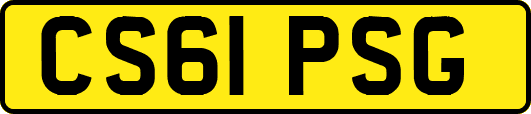 CS61PSG