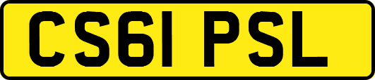 CS61PSL