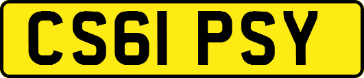 CS61PSY