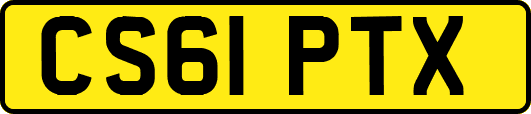 CS61PTX