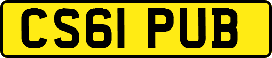 CS61PUB