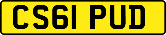 CS61PUD
