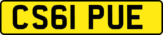CS61PUE