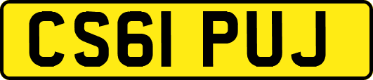 CS61PUJ