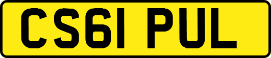 CS61PUL