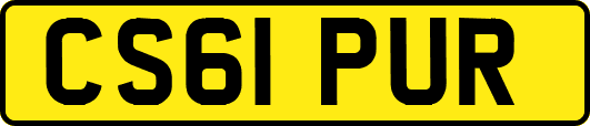 CS61PUR