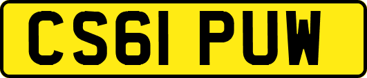 CS61PUW