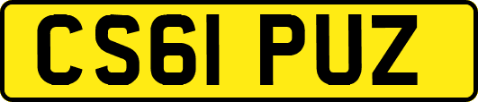 CS61PUZ