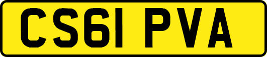 CS61PVA