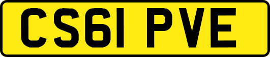 CS61PVE