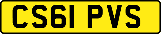 CS61PVS