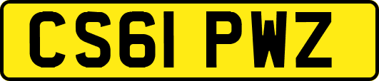 CS61PWZ