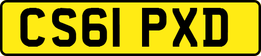CS61PXD