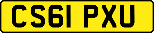 CS61PXU