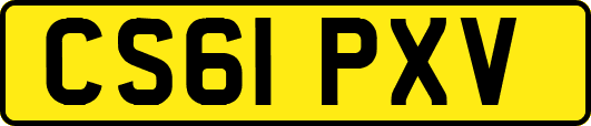 CS61PXV