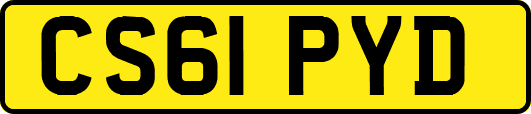 CS61PYD