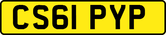 CS61PYP