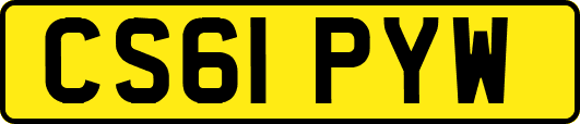 CS61PYW