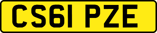 CS61PZE