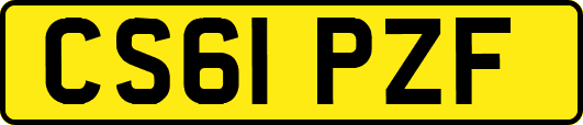 CS61PZF