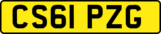 CS61PZG
