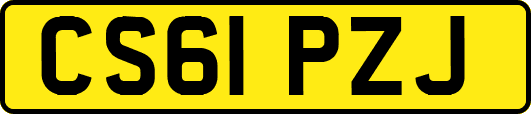 CS61PZJ