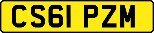 CS61PZM
