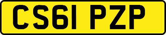 CS61PZP