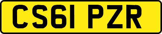 CS61PZR