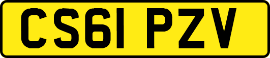 CS61PZV