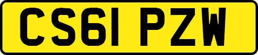 CS61PZW