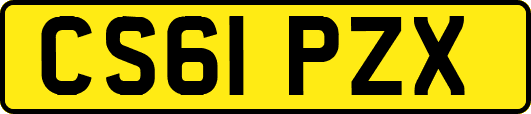 CS61PZX
