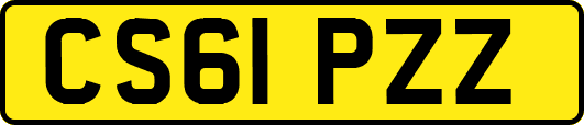 CS61PZZ