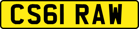 CS61RAW