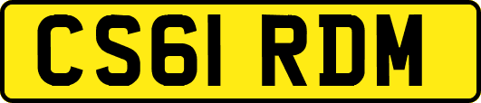 CS61RDM