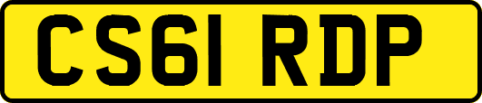 CS61RDP