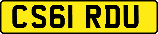 CS61RDU