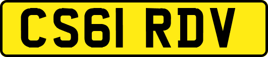 CS61RDV