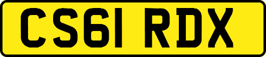 CS61RDX