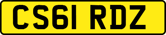 CS61RDZ