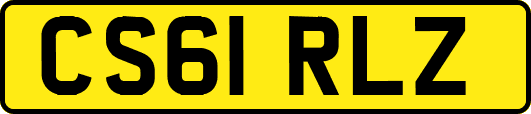 CS61RLZ