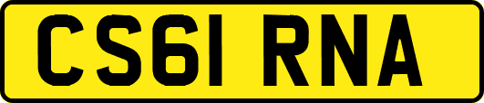 CS61RNA