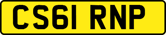 CS61RNP