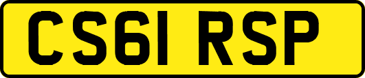 CS61RSP